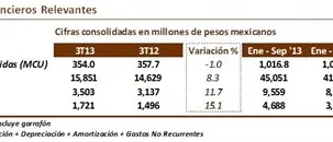 datos-relevantes_3t2013_499x130.jpg