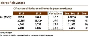 datosfinancierosrelevantes3t15_492x125.jpg