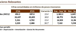 datosfinancierosrelevantes_498x128.jpg