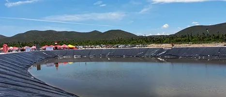 olla-captadora_dr-arroyo_496x200.jpg