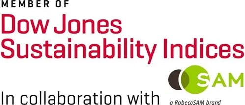 djsi_member_logo_rgb_img_499x218.jpg