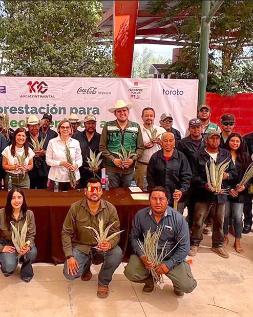 Reforestación Agaves