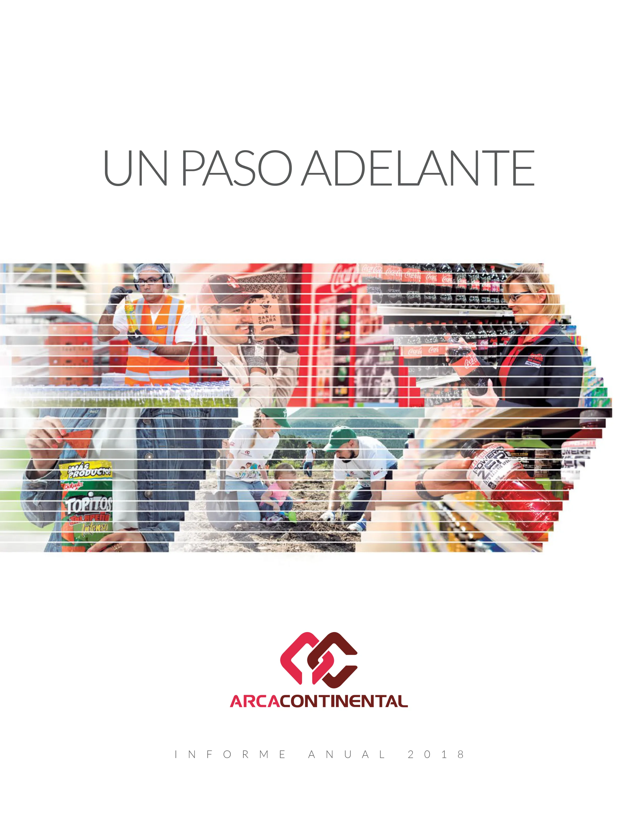 Reporte Anual Integrado 2018