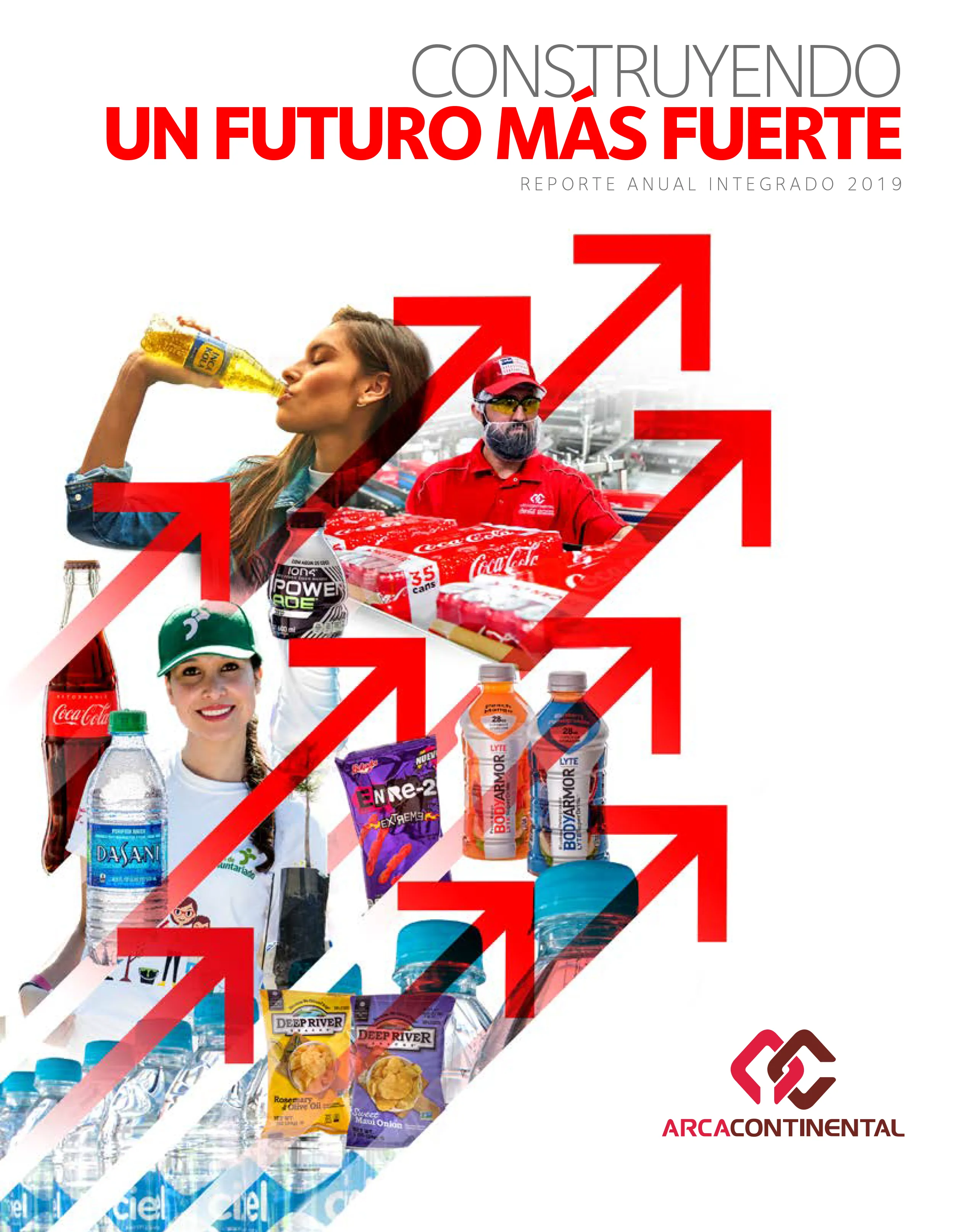 Reporte Anual Integrado 2019