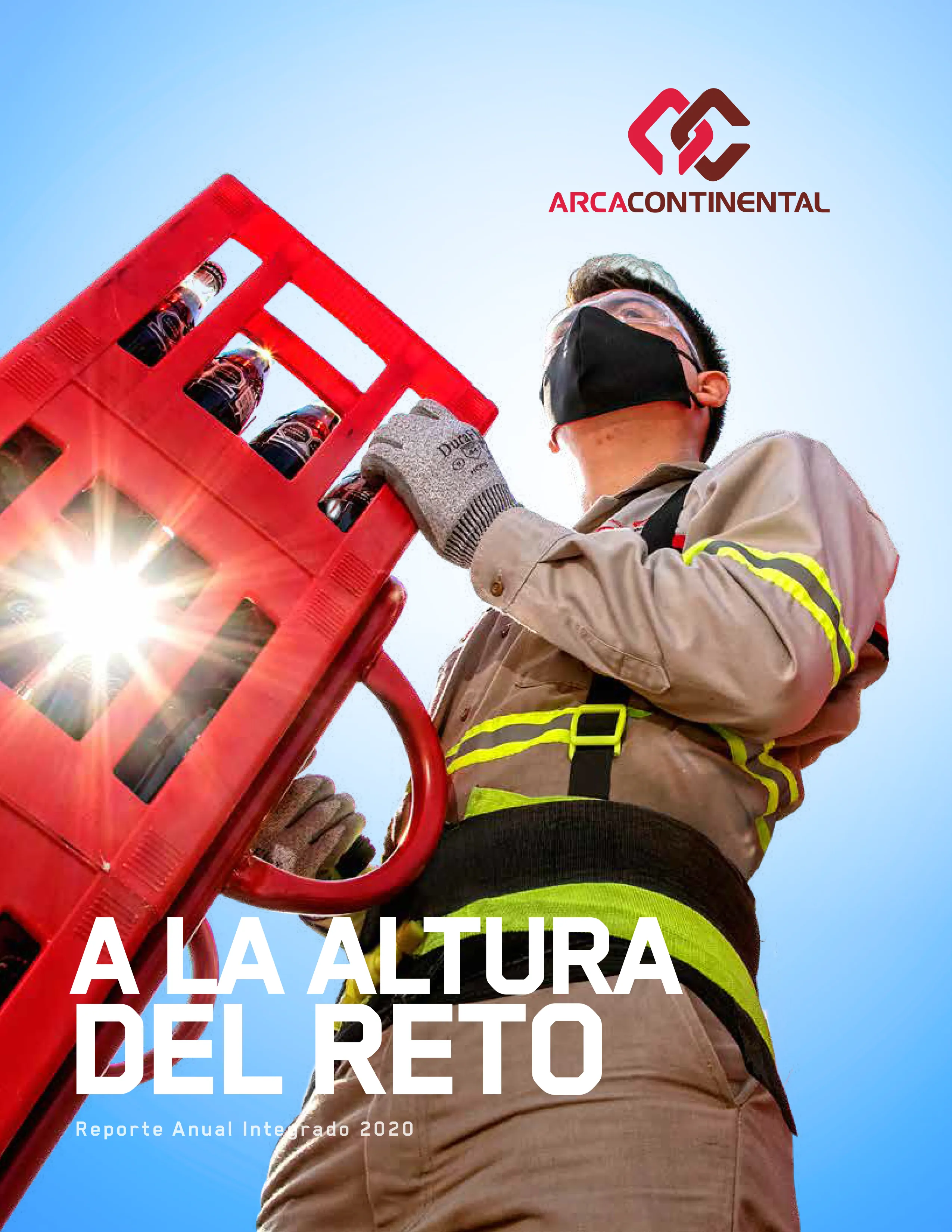 Reporte Anual Integrado 2020