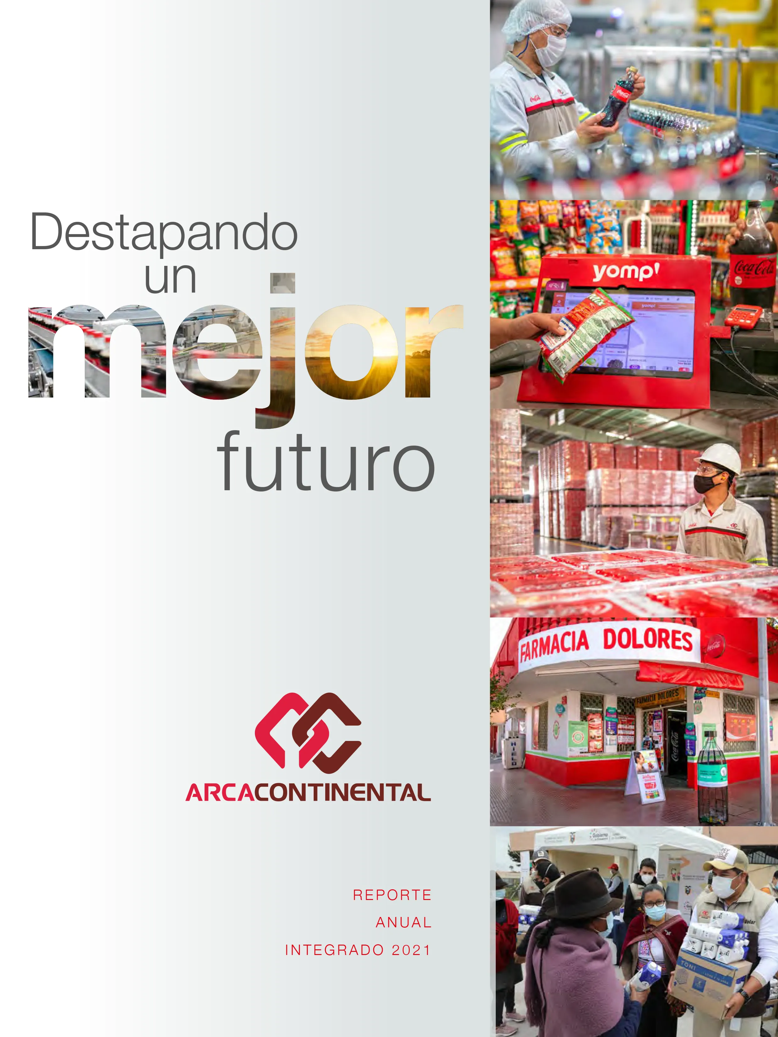 Reporte Anual Integrado 2021