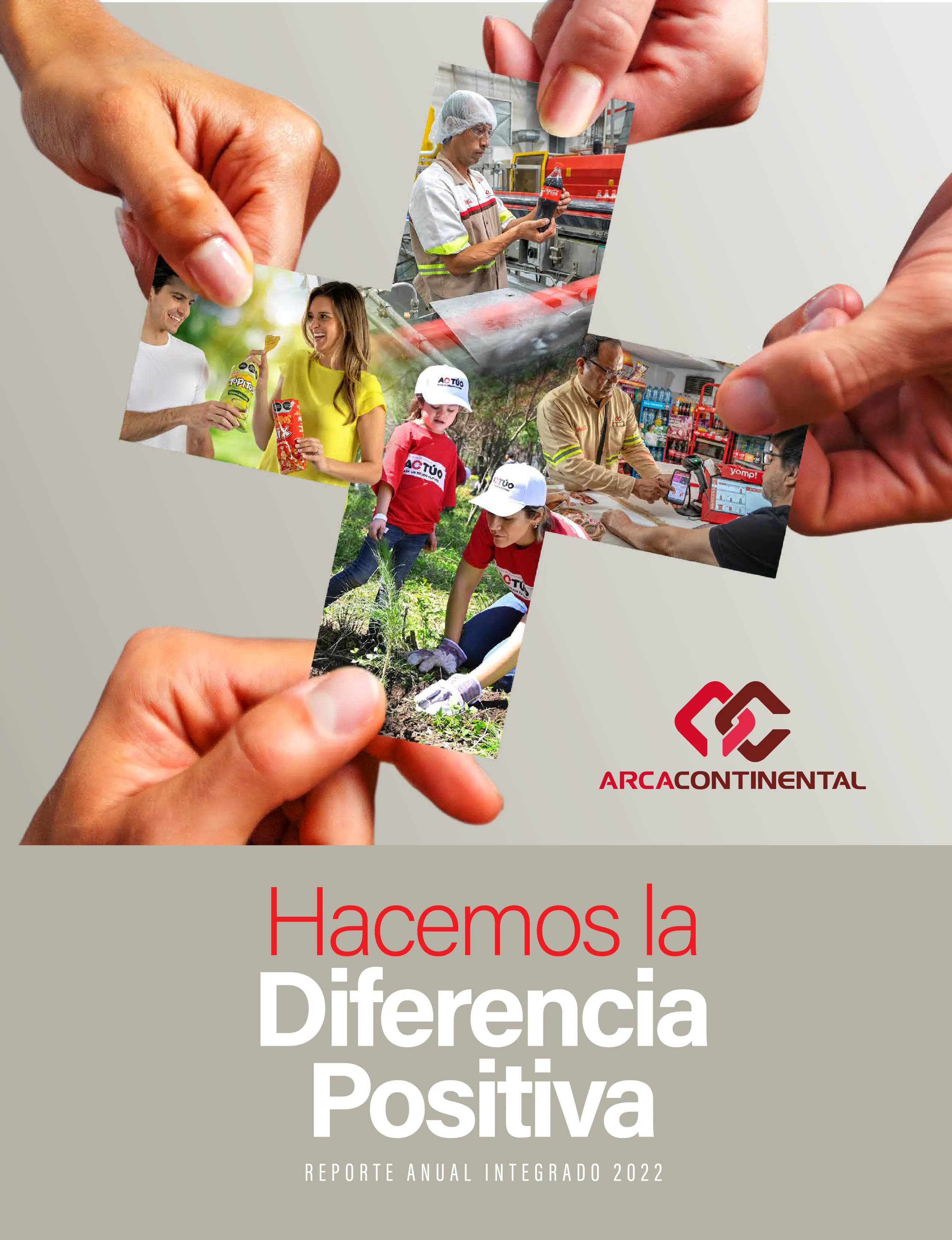 Reporte Anual Integrado 2022